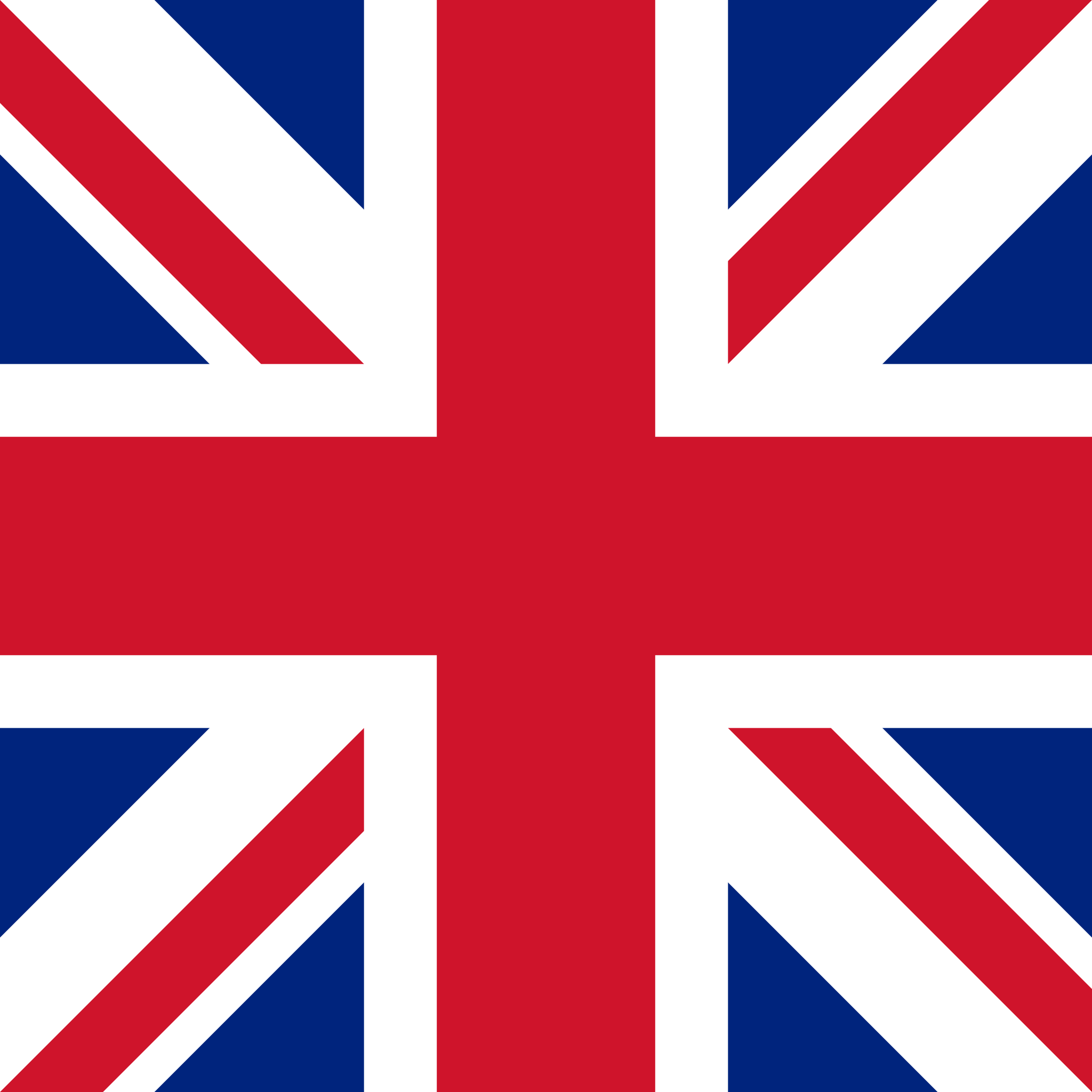 Project in UK