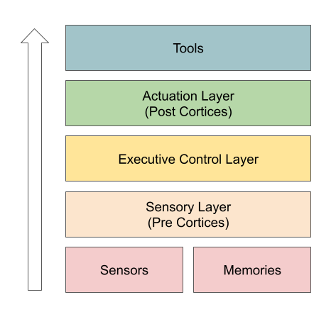 Multi-cortex AGI architecture